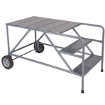 Rolling Ladder